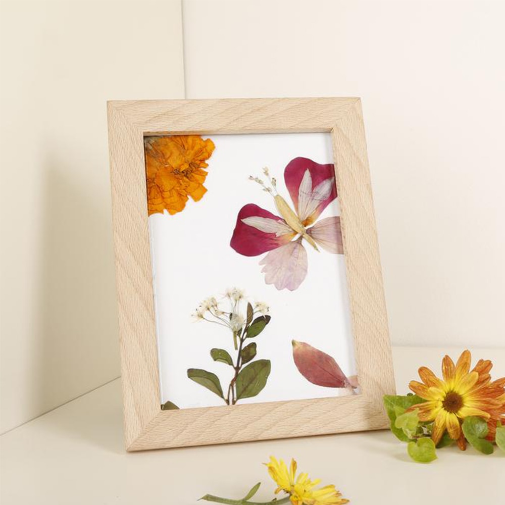 Kikkerland, Novelty, Gifts, Huckleberry, Pressed Flower, Frame, 355207